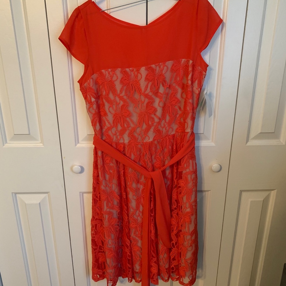 Pink Danny & Nicole Dress NWT